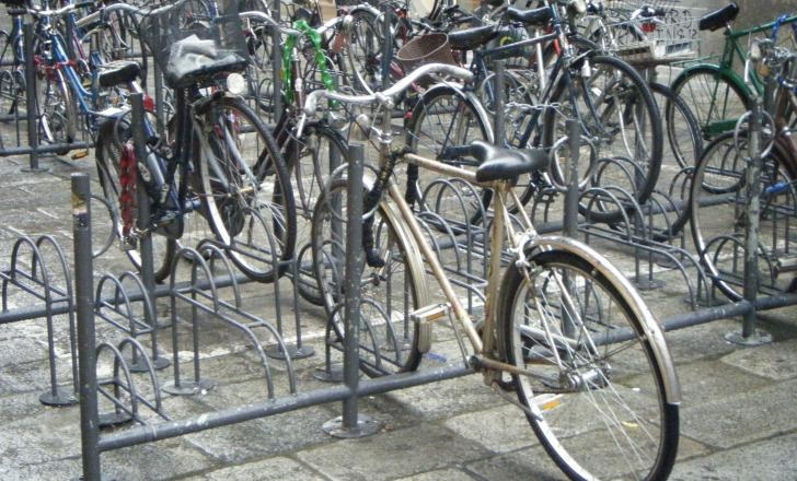 Bikes in Bologna