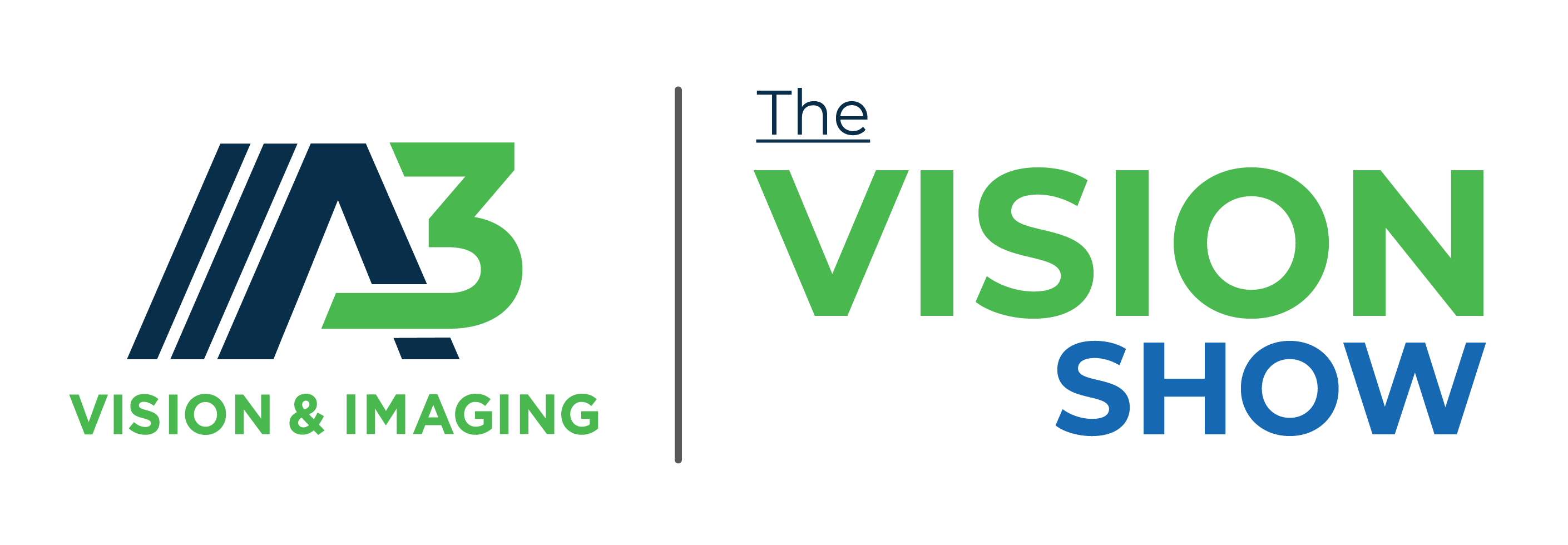 The Vision Show logo