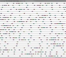 Unstable traffic flow