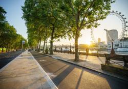 London cycle lane - TRL.jpg