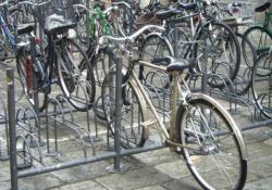 Bikes in Bologna