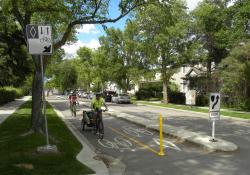 Edmonton’s 127 Street cycle lane: signage should be seen by both cyclists and vehicle users © David Arminas 