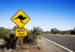 South Pacific Australia kangaroo Paul Hogan crocodile road © Iofoto | Dreamstime.com