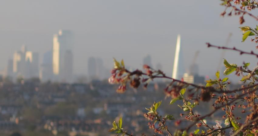 London skyline with greenery