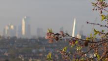 London skyline with greenery