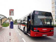 Dubai bus